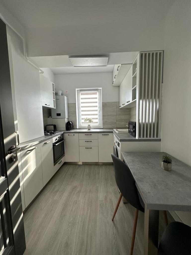 Cozy Studios In Suceava Exterior foto